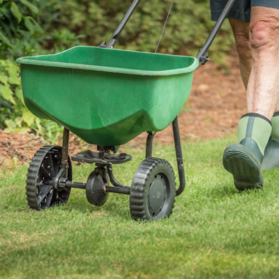 5 Lawn Care Tips and Tricks