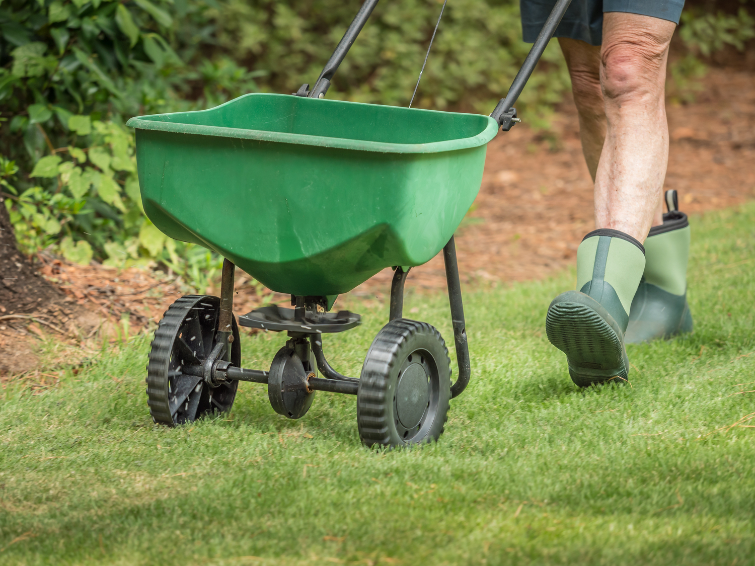 5 Lawn Care Tips and Tricks